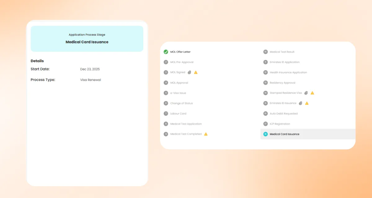 Visa Tracking on the Freelance Central Platform